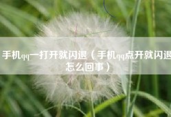 手机qq一打开就闪退（手机qq点开就闪退怎么回事）