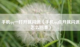 手机qq一打开就闪退（手机qq点开就闪退怎么回事）