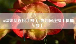 u盘如何连接手机（u盘如何连接手机播放）