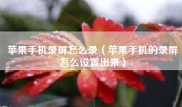 苹果手机录屏怎么录（苹果手机的录屏怎么设置出来）
