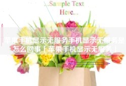 苹果手机显示无服务手机显示无服务是怎么回事「苹果手机显示无服务」