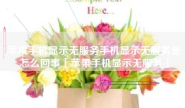 苹果手机显示无服务手机显示无服务是怎么回事「苹果手机显示无服务」