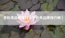 手机壳品牌排行（手机壳品牌排行榜）