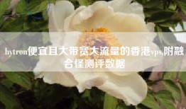 hytron便宜且大带宽大流量的香港vps,附融合怪测评数据