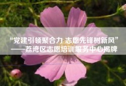 “党建引领聚合力 志愿先锋树新风”  ——荔湾区志愿培训服务中心揭牌