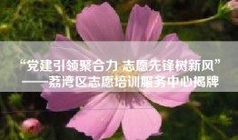 “党建引领聚合力 志愿先锋树新风”  ——荔湾区志愿培训服务中心揭牌