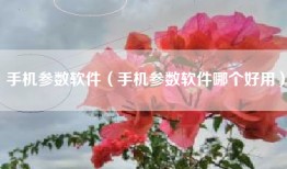 手机参数软件（手机参数软件哪个好用）