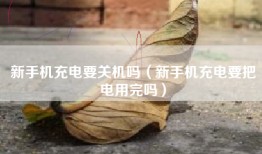 新手机充电要关机吗（新手机充电要把电用完吗）