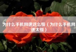 为什么手机网速这么慢（为什么手机网速太慢）