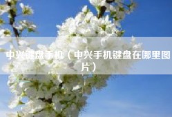 中兴键盘手机（中兴手机键盘在哪里图片）