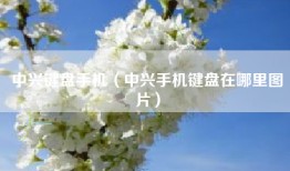 中兴键盘手机（中兴手机键盘在哪里图片）