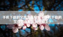 手机下载的文件怎么解压（手机下载的文件怎么解压到电脑上）