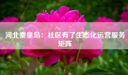 河北秦皇岛：社区有了生态化运营服务矩阵