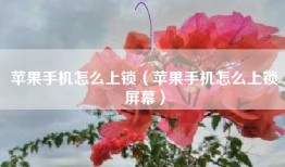 苹果手机怎么上锁（苹果手机怎么上锁屏幕）