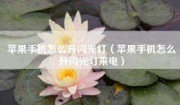 苹果手机怎么开闪光灯（苹果手机怎么开闪光灯来电）