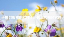 手机剪视频的软件（手机上剪视频软件）