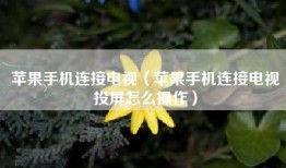 苹果手机连接电视（苹果手机连接电视投屏怎么操作）