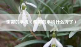 谢娜的手机（谢娜的手机什么牌子）