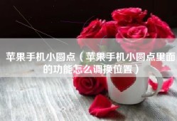 苹果手机小圆点（苹果手机小圆点里面的功能怎么调换位置）