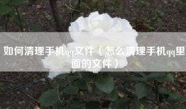 如何清理手机qq文件（怎么清理手机qq里面的文件）