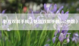 魅族双屏手机（魅族双屏手机pro7参数）