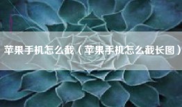 苹果手机怎么截（苹果手机怎么截长图）