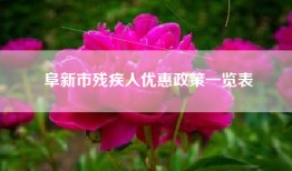 阜新市残疾人优惠政策一览表