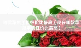 哪款苹果手机性价比最高（现在哪款苹果手机性价比最高）