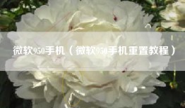 微软950手机（微软950手机重置教程）