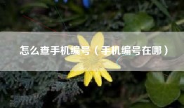 怎么查手机编号（手机编号在哪）
