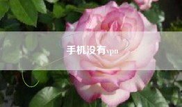 手机没有vpn