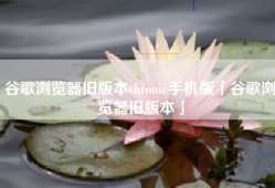 谷歌浏览器旧版本chrome手机版「谷歌浏览器旧版本」