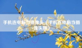 手机连电脑当摄像头（手机连电脑当摄像头用）