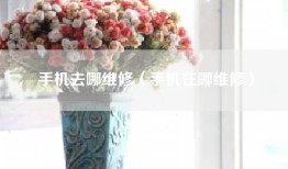 手机去哪维修（手机在哪维修）