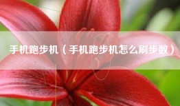 手机跑步机（手机跑步机怎么刷步数）