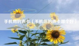 手机用的声卡（手机用的声卡哪个好）