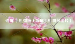 碎屏 手机壁纸（碎屏手机屏保图片）