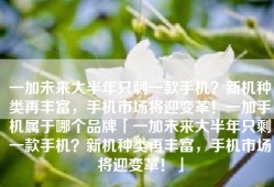 一加未来大半年只剩一款手机？新机种类再丰富，手机市场将迎变革！一加手机属于哪个品牌「一加未来大半年只剩一款手机？新机种类再丰富，手机市场将迎变革！」