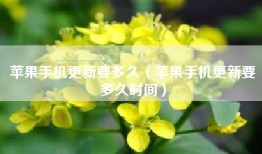 苹果手机更新要多久（苹果手机更新要多久时间）