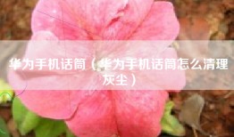 华为手机话筒（华为手机话筒怎么清理灰尘）