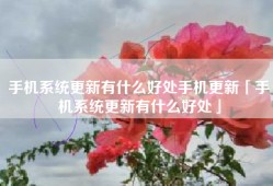 手机系统更新有什么好处手机更新「手机系统更新有什么好处」