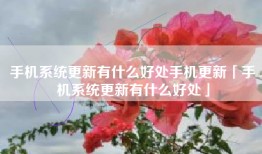 手机系统更新有什么好处手机更新「手机系统更新有什么好处」