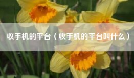 收手机的平台（收手机的平台叫什么）