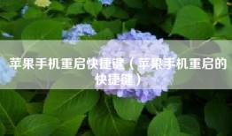 苹果手机重启快捷键（苹果手机重启的快捷键）