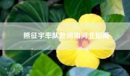 熊征宇率队赴河南河北招商