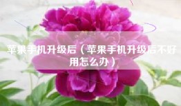 苹果手机升级后（苹果手机升级后不好用怎么办）