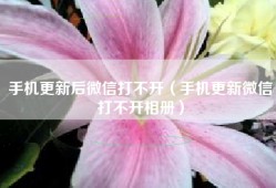 手机更新后微信打不开（手机更新微信打不开相册）