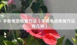 手机电池恢复方法（手机电池恢复方法有几种）