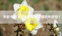 手机号掉了（手机号掉了微信咋找回）