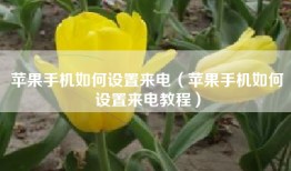 苹果手机如何设置来电（苹果手机如何设置来电教程）